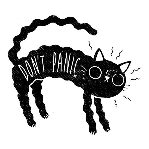 Don t Panic - Women s Apparel Online now - Image 2