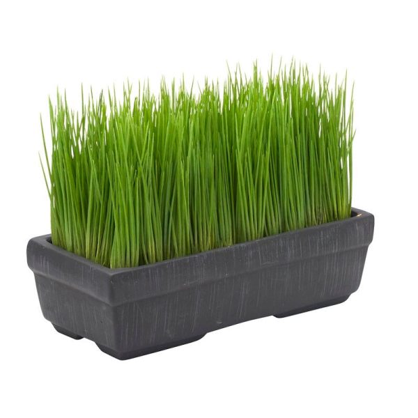 SET OF 4! Artificial Succulent Grass in Planter 145CDR Cheap - Image 2